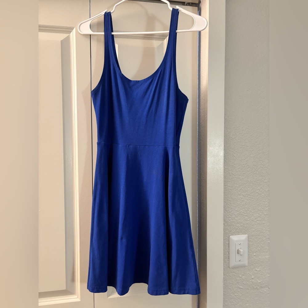 Express Blue Sleeveless Skater Dress
